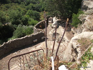 nnizzu-28-08-2022 12-38-22
